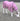 NEW AIR FLOW FOAL/MINI/SHETLAND/PONY FLY RUG SOFT MESH ATTACHED NECK COVER